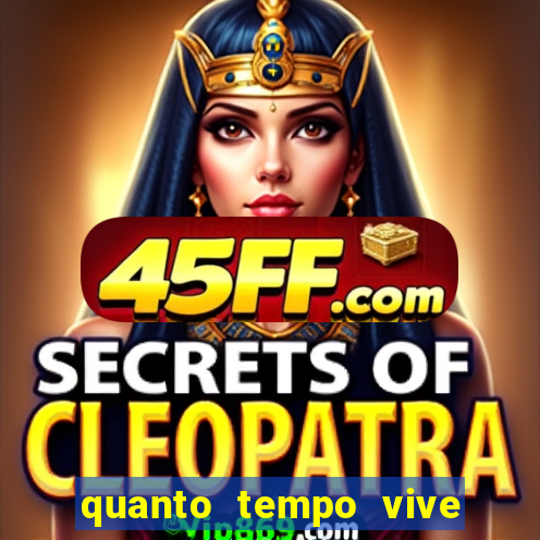 quanto tempo vive um passarinho bem-te-vi